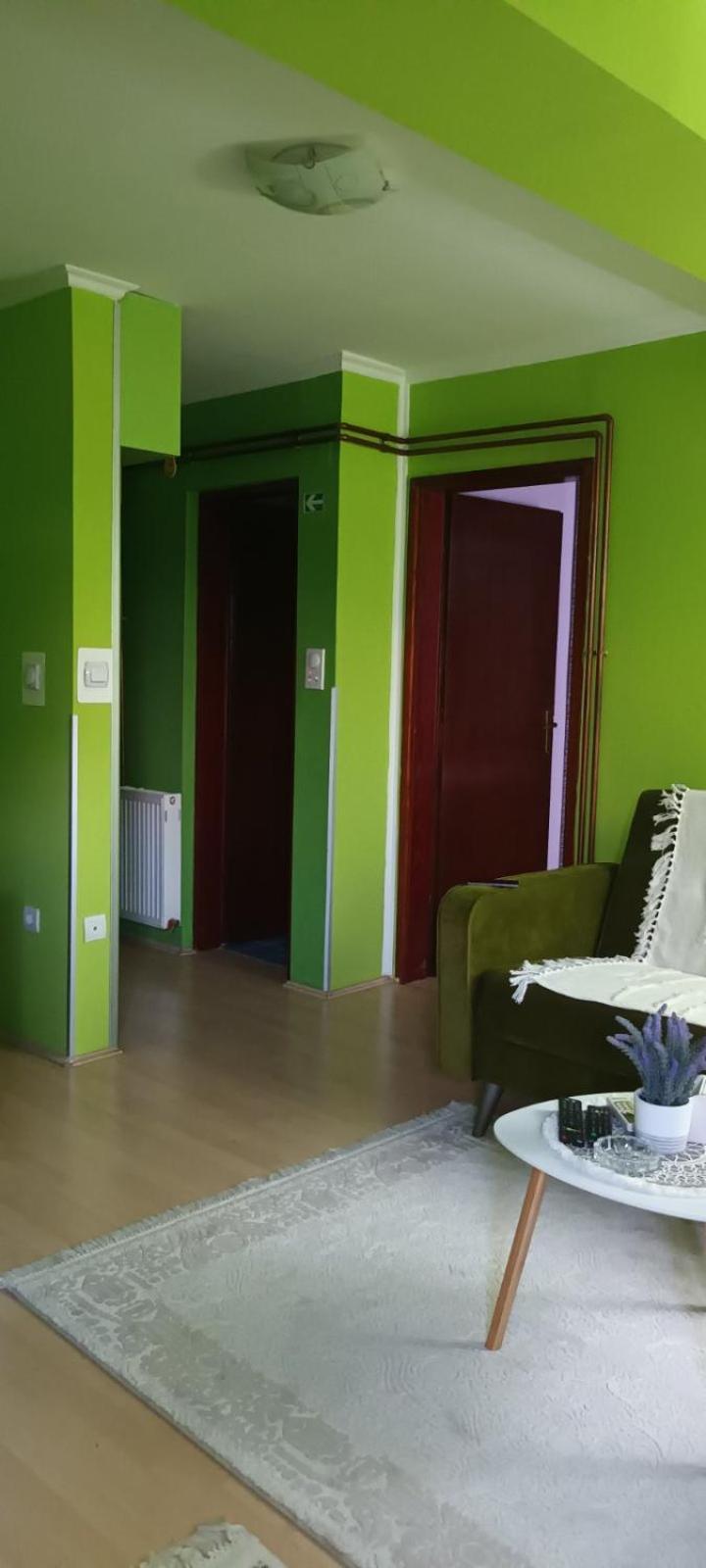 Apartament Apartman Gaga Pirot Zewnętrze zdjęcie